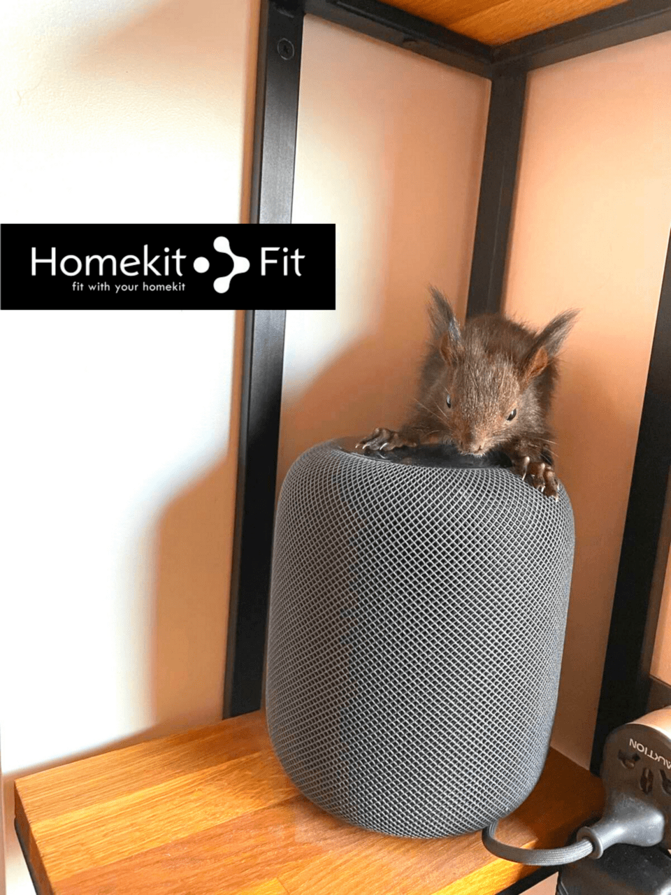 7 причини да обичаме Homepod Mini