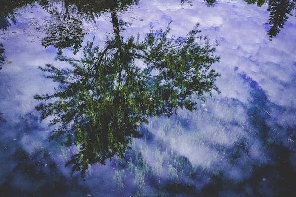 Без абонамент